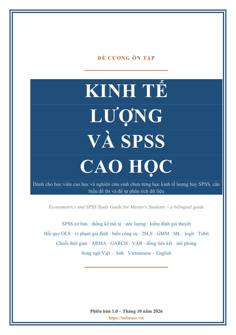 Đề cương ôn tập Kinh tế lượng và SPSS cao học — Việt/Anh